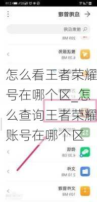 怎么看王者荣耀号在哪个区_怎么查询王者荣耀账号在哪个区