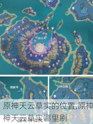 原神天云草实的位置,原神神天云草实哪里刷