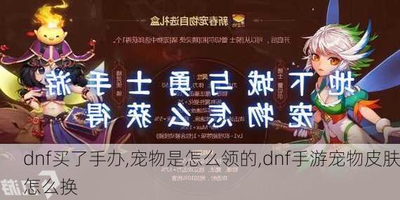 dnf买了手办,宠物是怎么领的,dnf手游宠物皮肤怎么换