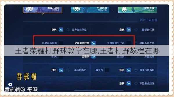 王者荣耀打野球教学在哪,王者打野教程在哪