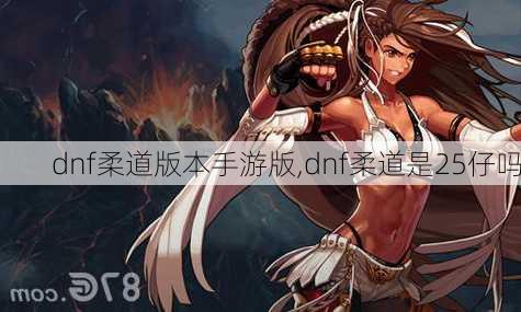 dnf柔道版本手游版,dnf柔道是25仔吗