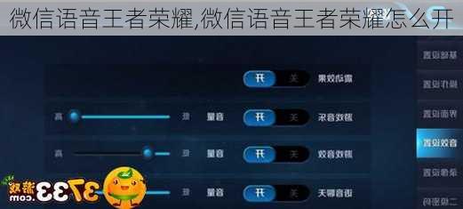 微信语音王者荣耀,微信语音王者荣耀怎么开