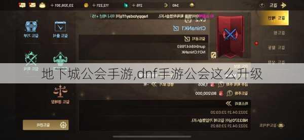 地下城公会手游,dnf手游公会这么升级