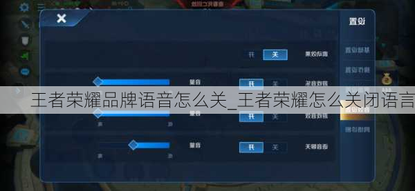 王者荣耀品牌语音怎么关_王者荣耀怎么关闭语言