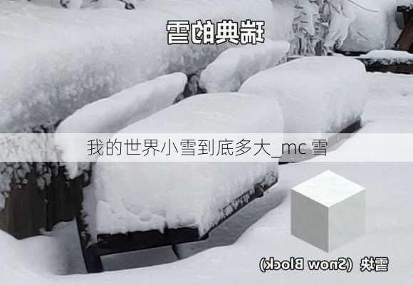 我的世界小雪到底多大_mc 雪