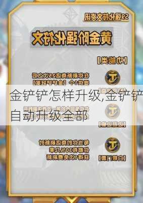 金铲铲怎样升级,金铲铲自动升级全部