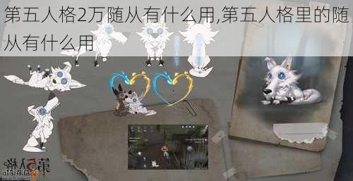 第五人格2万随从有什么用,第五人格里的随从有什么用