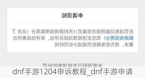 dnf手游1204申诉教程_dnf手游申请