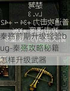 秦殇前期升级经验bug-秦殇攻略秘籍怎样升级武器