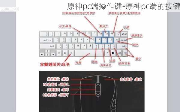 原神pc端操作键-原神pc端的按键