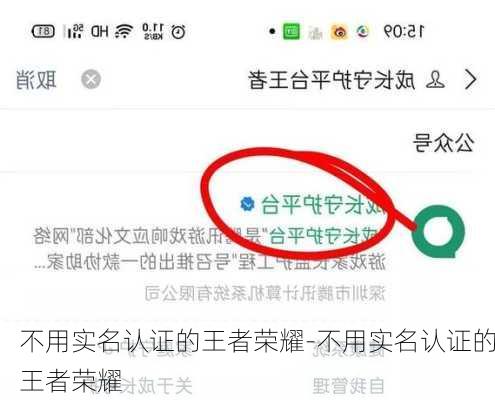 不用实名认证的王者荣耀-不用实名认证的王者荣耀