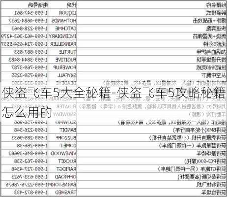 侠盗飞车5大全秘籍-侠盗飞车5攻略秘籍怎么用的