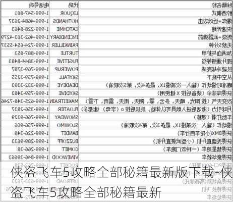 侠盗飞车5攻略全部秘籍最新版下载-侠盗飞车5攻略全部秘籍最新