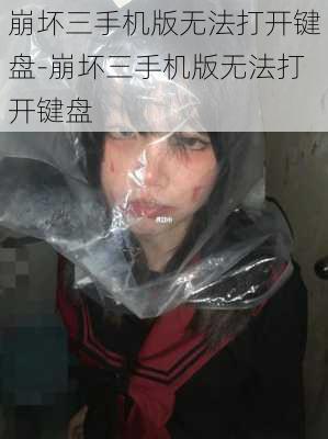 崩坏三手机版无法打开键盘-崩坏三手机版无法打开键盘